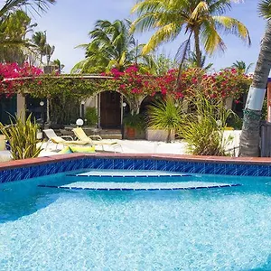 House Aruba Appartement Palm Beach